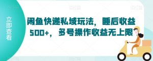 闲鱼快递私域玩法,睡后收益500+,多号操作收益无上限【揭秘】-第一资源网