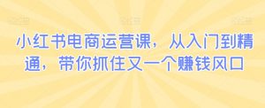 小红书电商运营课,从入门到精通,带你抓住又一个赚钱风口-第一资源网