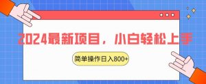 2024最新项目,红娘项目,简单操作轻松日入800+【揭秘】-第一资源网