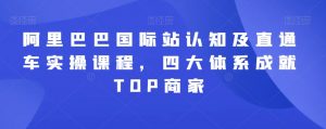 阿里巴巴国际站认知及直通车实操课程,四大体系成就TOP商家-第一资源网