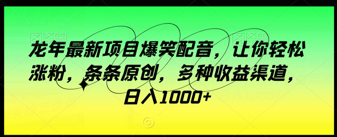 龙年最新项目爆笑配音，让你轻松涨粉，条条原创，多种收益渠道，日入1000+【揭秘】-第一资源网