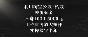 利用淘宝公域+私域差价掘金,日赚1000-5000元,工作室可放大操作,实操稳定半年【揭秘】-第一资源网