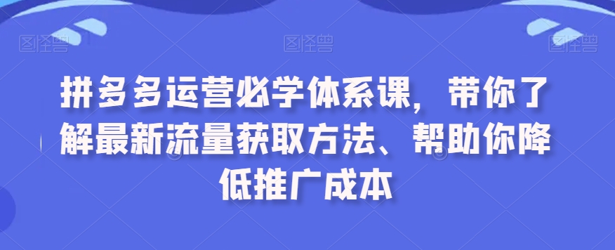 拼多多运营必学体系课，带你了解最新流量获取方法、帮助你降低推广成本-第一资源网