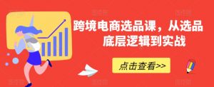 跨境电商选品课,从选品到底层逻辑到实战-第一资源网