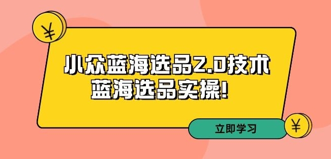 拼多多培训第33期：小众蓝海选品2.0技术-蓝海选品实操！-第一资源网