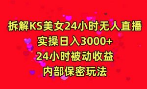 利用快手24小时无人美女直播,实操日入3000,24小时被动收益,内部保密玩法【揭秘】-第一资源网