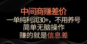 中间商赚差价,一单纯利润30+,简单无脑操作,赚的就是信息差,轻轻松松日入1000+【揭秘】-第一资源网