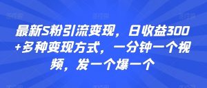 最新S粉引流变现,日收益300+多种变现方式,一分钟一个视频,发一个爆一个【揭秘】-第一资源网