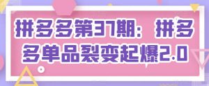 拼多多第37期:拼多多单品裂变起爆2.0-第一资源网