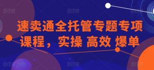 速卖通全托管专题专项课程,实操 高效 爆单-第一资源网