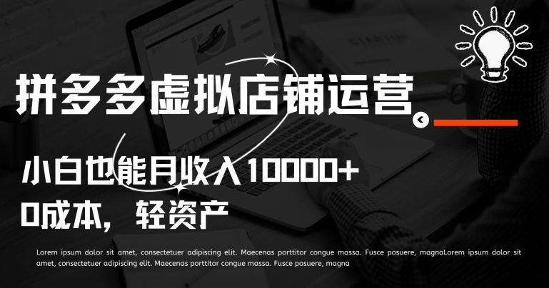 拼多多虚拟店铺运营小白也能月收入10000+【揭秘】-第一资源网