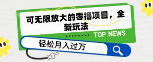 可无限放大的零撸项目,全新玩法,一天单机撸个50+没问题【揭秘】-第一资源网