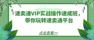 速卖通VIP实战操作速成班,带你玩转速卖通平台-第一资源网