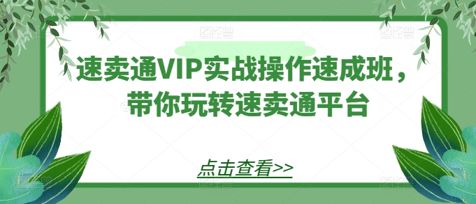 速卖通VIP实战操作速成班，带你玩转速卖通平台-第一资源网
