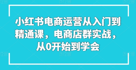 小红书电商运营从入门到精通课，电商店群实战，从0开始到学会-第一资源网