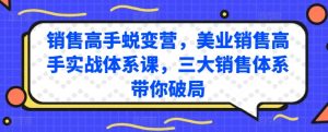 销售高手蜕变营,美业销售高手实战体系课,三大销售体系带你破局-第一资源网