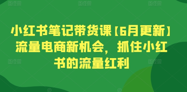 小红书笔记带货课【6月更新】流量电商新机会，抓住小红书的流量红利-第一资源网
