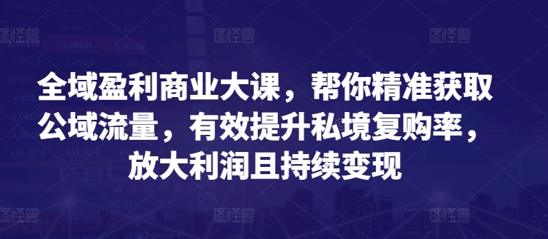 全域盈利商业大课，帮你精准获取公域流量，有效提升私境复购率，放大利润且持续变现-第一资源网