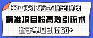 精准项目粉高效引流术,新手单日引流50+,多重变现方式稳定赚钱【揭秘】-第一资源网