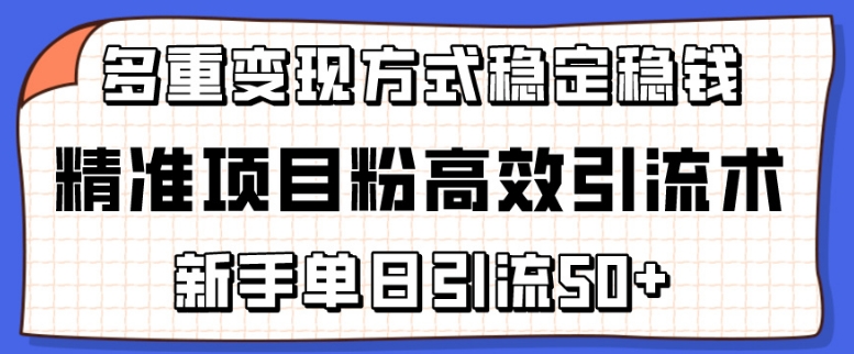 精准项目粉高效引流术，新手单日引流50+，多重变现方式稳定赚钱【揭秘】-第一资源网