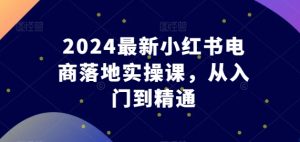 2024最新小红书电商落地实操课,从入门到精通-第一资源网