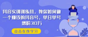 抖音实训训练营,教你如何做一个赚钱的抖音号,单日单号增粉30万-第一资源网