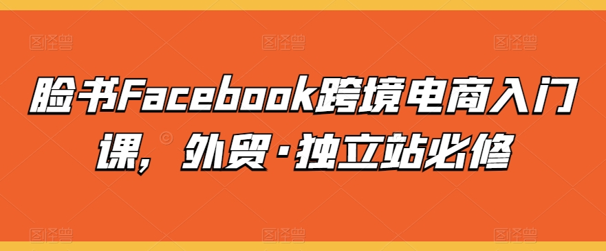 脸书Facebook跨境电商入门课，外贸·独立站必修-第一资源网