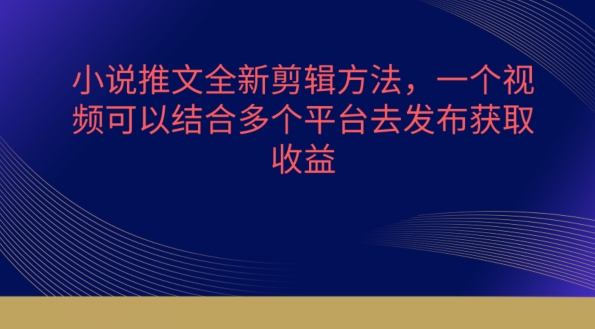 小说推文全新剪辑方法，一个视频可以结合多个平台去发布获取【揭秘】-第一资源网