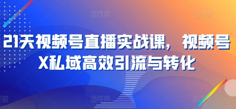 21天视频号直播实战课，视频号X私域高效引流与转化-第一资源网