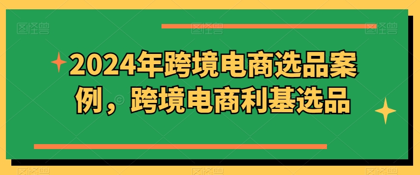 2024年跨境电商选品案例，跨境电商利基选品-第一资源网