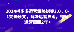 2024拼多多运营策略蜕变3.0,0-1完美蜕变,解决运营焦虑,缩短运营周期2年+-第一资源网