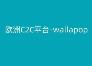 欧洲C2C平台-wallapop-kim跨境电商教程-第一资源网