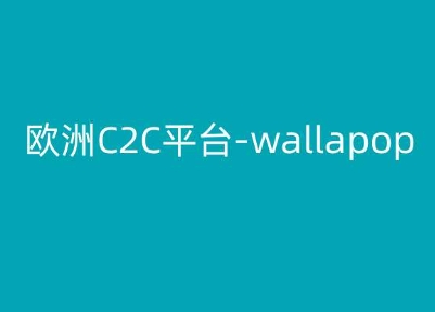 欧洲C2C平台-wallapop-kim跨境电商教程-第一资源网