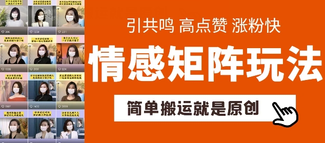 简单搬运，情感矩阵玩法，涨粉速度快，可带货，可起号【揭秘】-第一资源网