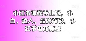 小红书课程专业版,小白,达人,品牌商家,小红书电商教程-第一资源网