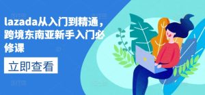 lazada从入门到精通,跨境东南亚新手入门必修课-第一资源网
