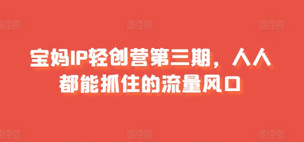 宝妈IP轻创营第三期，人人都能抓住的流量风口-第一资源网