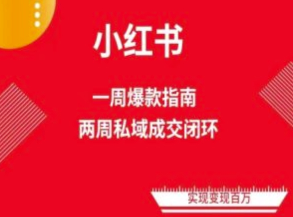 爆款小红书免费流量体系课程(两周变现)，小红书电商教程-第一资源网