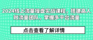 2024线上流量操盘实战课程,搭建高人效流量团队,掌握多平台流量-第一资源网