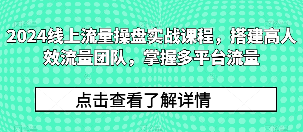 2024线上流量操盘实战课程，搭建高人效流量团队，掌握多平台流量-第一资源网
