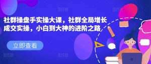 社群操盘手实操大课,社群全局增长成交实操,小白到大神的进阶之路-第一资源网
