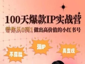 小红书100天爆款IP实战营，带你从0到1做出高价值的小红书号-第一资源网