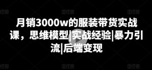 月销3000w的服装带货实战课,思维模型|实战经验|暴力引流|后端变现-第一资源网