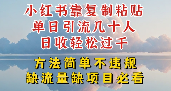 小红书靠复制粘贴单日引流几十人目收轻松过千，方法简单不违规【揭秘】-第一资源网