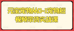 元宝宠物从0~1宠物短视频带货实战课-第一资源网