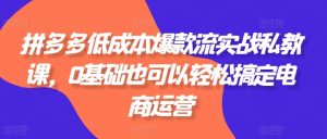 拼多多低成本爆款流实战私教课,0基础也可以轻松搞定电商运营-第一资源网