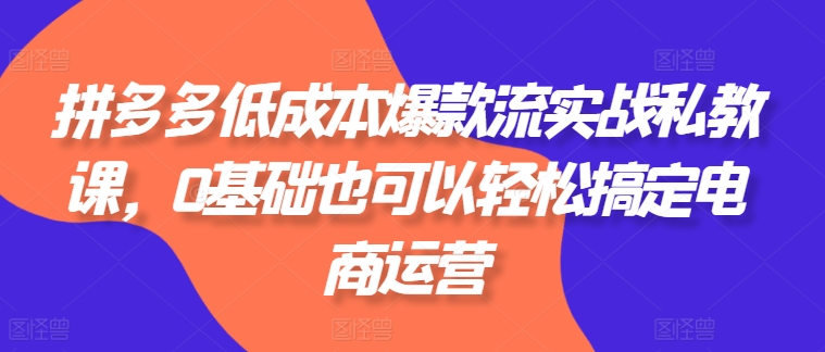 拼多多低成本爆款流实战私教课，0基础也可以轻松搞定电商运营-第一资源网
