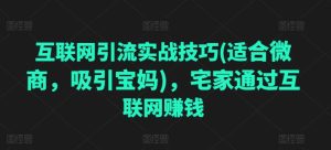 互联网引流实战技巧(适合微商,吸引宝妈),宅家通过互联网赚钱-第一资源网