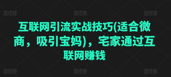 互联网引流实战技巧(适合微商，吸引宝妈)，宅家通过互联网赚钱-第一资源网