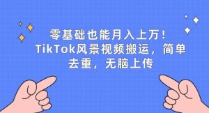 零基础也能月入上w,TikTok风景视频搬运,简单去重,无脑上传【揭秘】-第一资源网